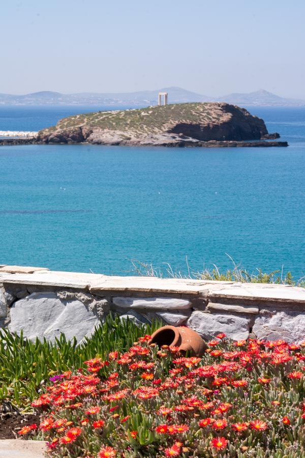 Iliada Suites Naxos City Номер фото